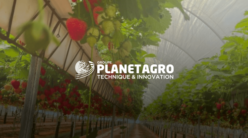 Vivification du système racinaire des plantes à Nantes